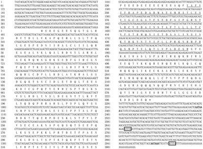 Frontiers | TIR Domain-Containing Adaptor-Inducing Interferon-β